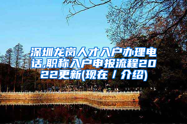 深圳龙岗人才入户办理电话,职称入户申报流程2022更新(现在／介绍)