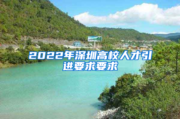 2022年深圳高校人才引进要求要求