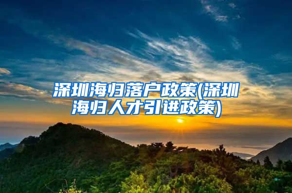 深圳海归落户政策(深圳海归人才引进政策)