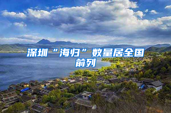 深圳“海归”数量居全国前列