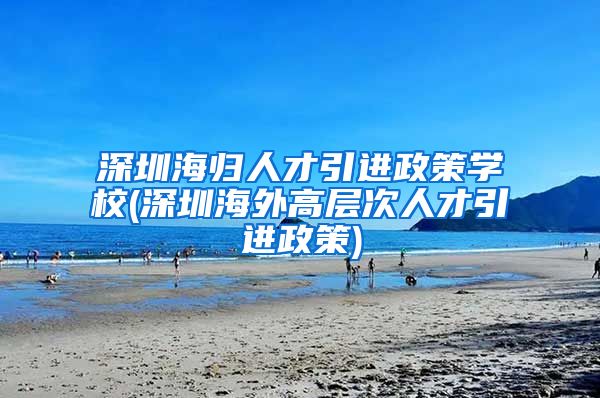 深圳海归人才引进政策学校(深圳海外高层次人才引进政策)