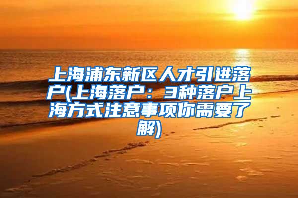 上海浦东新区人才引进落户(上海落户：3种落户上海方式注意事项你需要了解)