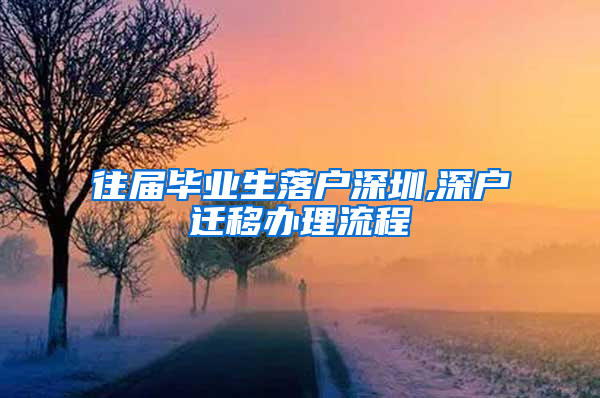 往届毕业生落户深圳,深户迁移办理流程