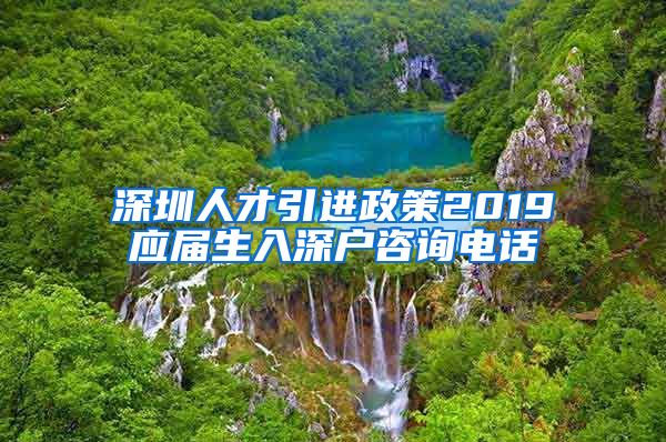 深圳人才引进政策2019应届生入深户咨询电话