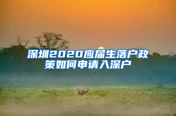 深圳2020应届生落户政策如何申请入深户