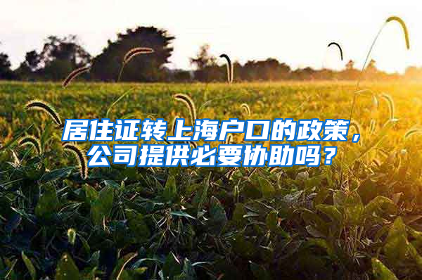 居住证转上海户口的政策，公司提供必要协助吗？