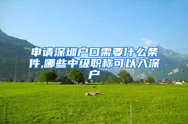 申请深圳户口需要什么条件,哪些中级职称可以入深户