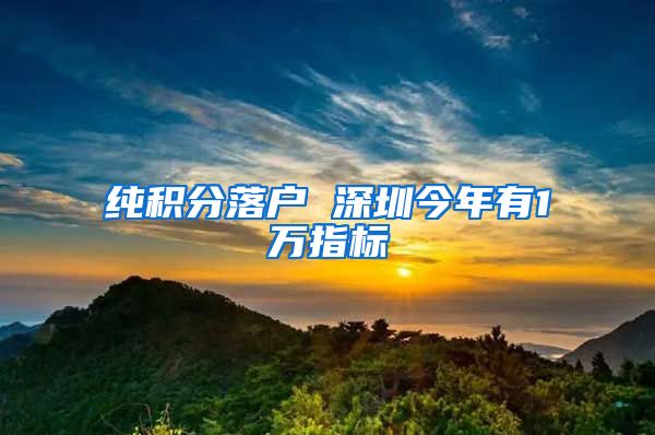 纯积分落户 深圳今年有1万指标