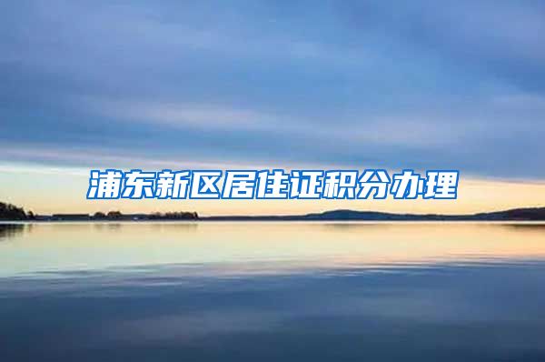 浦东新区居住证积分办理