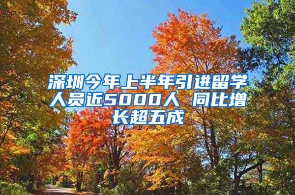 深圳今年上半年引进留学人员近5000人 同比增长超五成