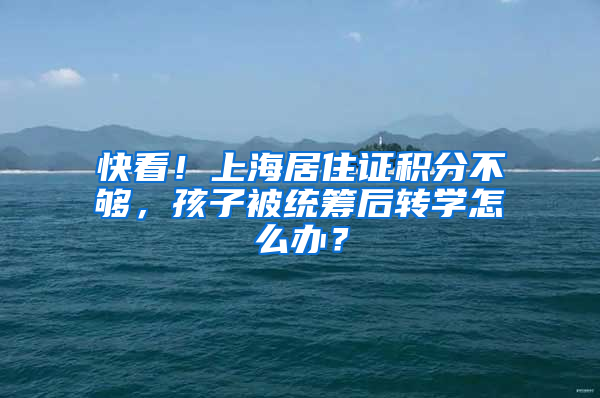 快看！上海居住证积分不够，孩子被统筹后转学怎么办？