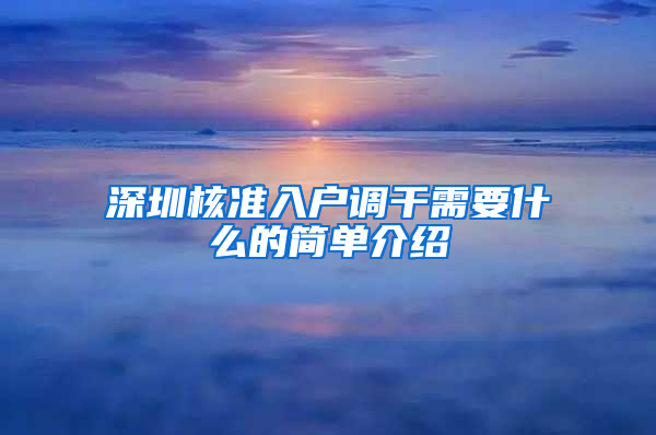 深圳核准入户调干需要什么的简单介绍