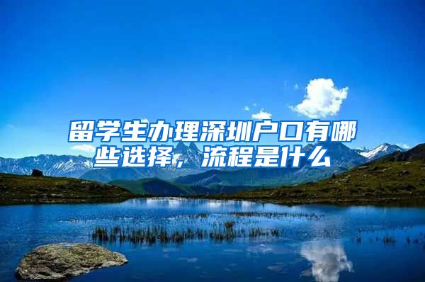 留学生办理深圳户口有哪些选择，流程是什么