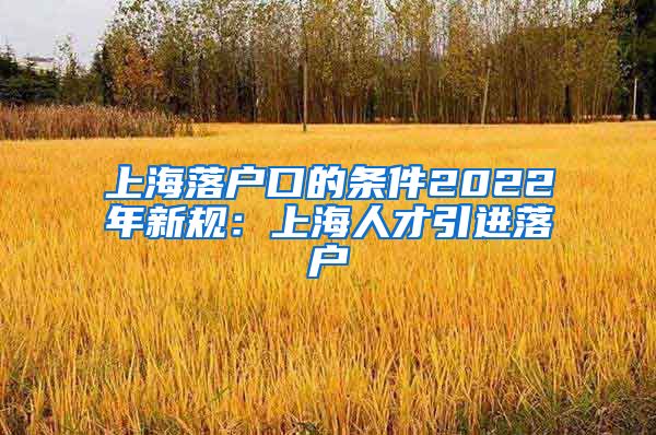 上海落户口的条件2022年新规：上海人才引进落户