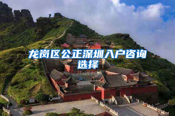 龙岗区公正深圳入户咨询选择