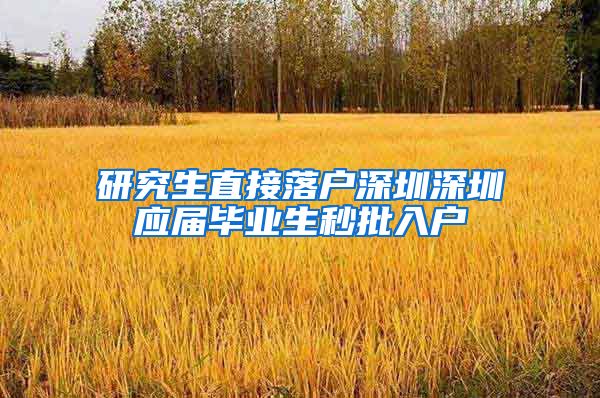 研究生直接落户深圳深圳应届毕业生秒批入户