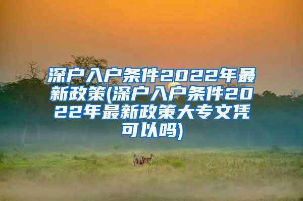 深户入户条件2022年最新政策(深户入户条件2022年最新政策大专文凭可以吗)