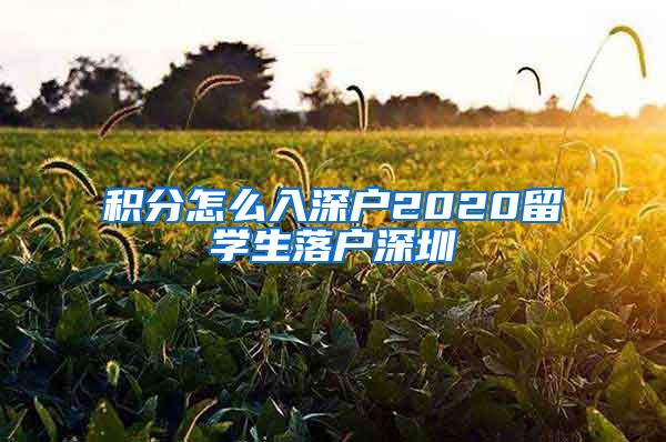 积分怎么入深户2020留学生落户深圳