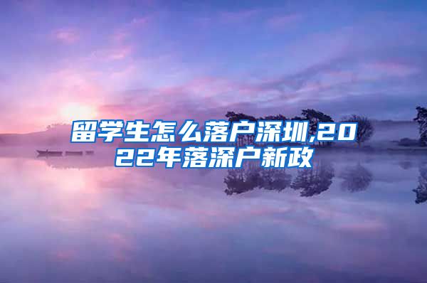 留学生怎么落户深圳,2022年落深户新政