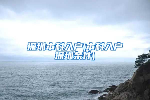 深圳本科入户(本科入户深圳条件)