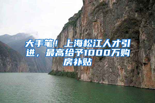 大手笔！上海松江人才引进，最高给予1000万购房补贴