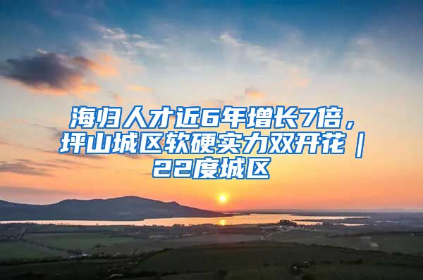 海归人才近6年增长7倍，坪山城区软硬实力双开花｜22度城区⑧