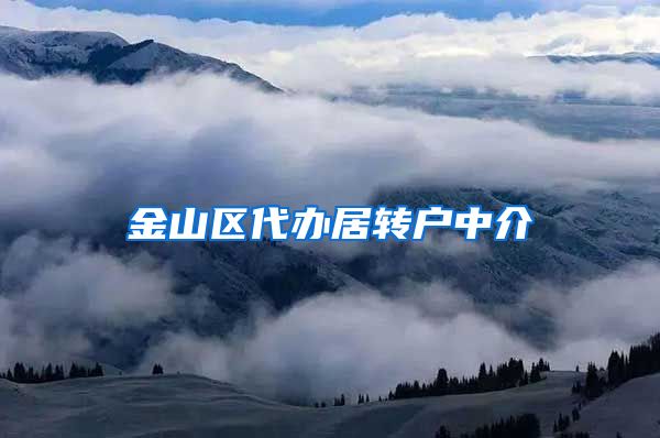 金山区代办居转户中介