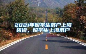 2021年留学生落户上海咨询，留学生上海落户