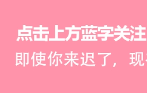 教育部直属211高校--上海外国语大学国际本科招考，不上专科更不用复读！