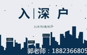 2022年深圳市人才引进系统