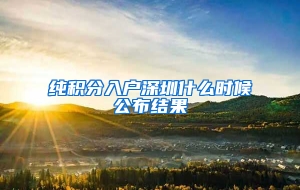 纯积分入户深圳什么时候公布结果