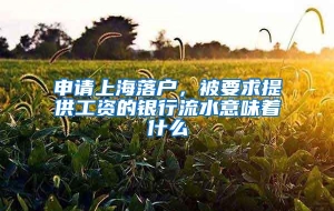 申请上海落户，被要求提供工资的银行流水意味着什么