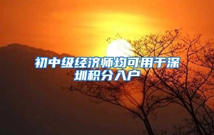 初中级经济师均可用于深圳积分入户