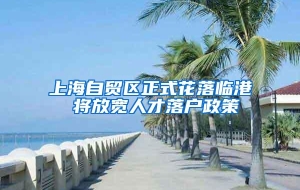 上海自贸区正式花落临港 将放宽人才落户政策