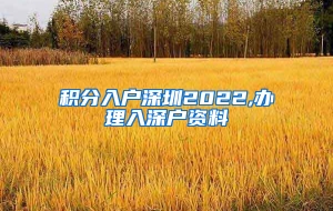 积分入户深圳2022,办理入深户资料